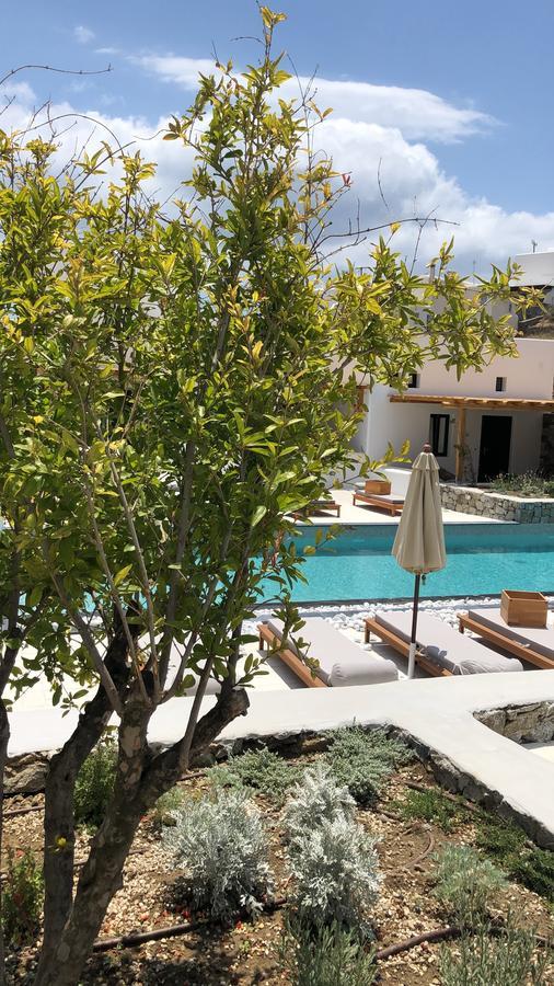 Mykonos Drops Hotel Platys Gialos  Exterior foto